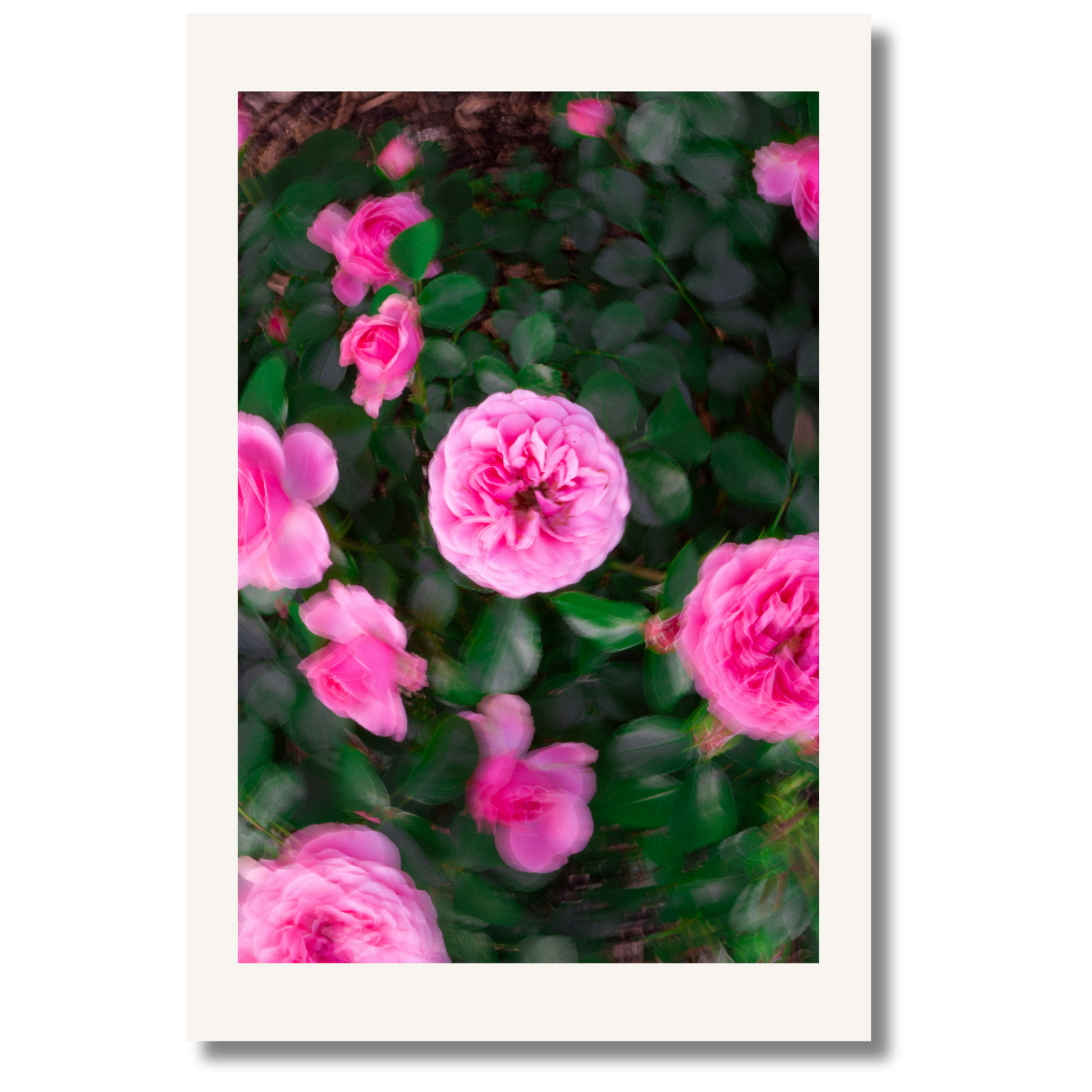 Memory Bloom